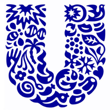 Peaks Against the Starry Sky