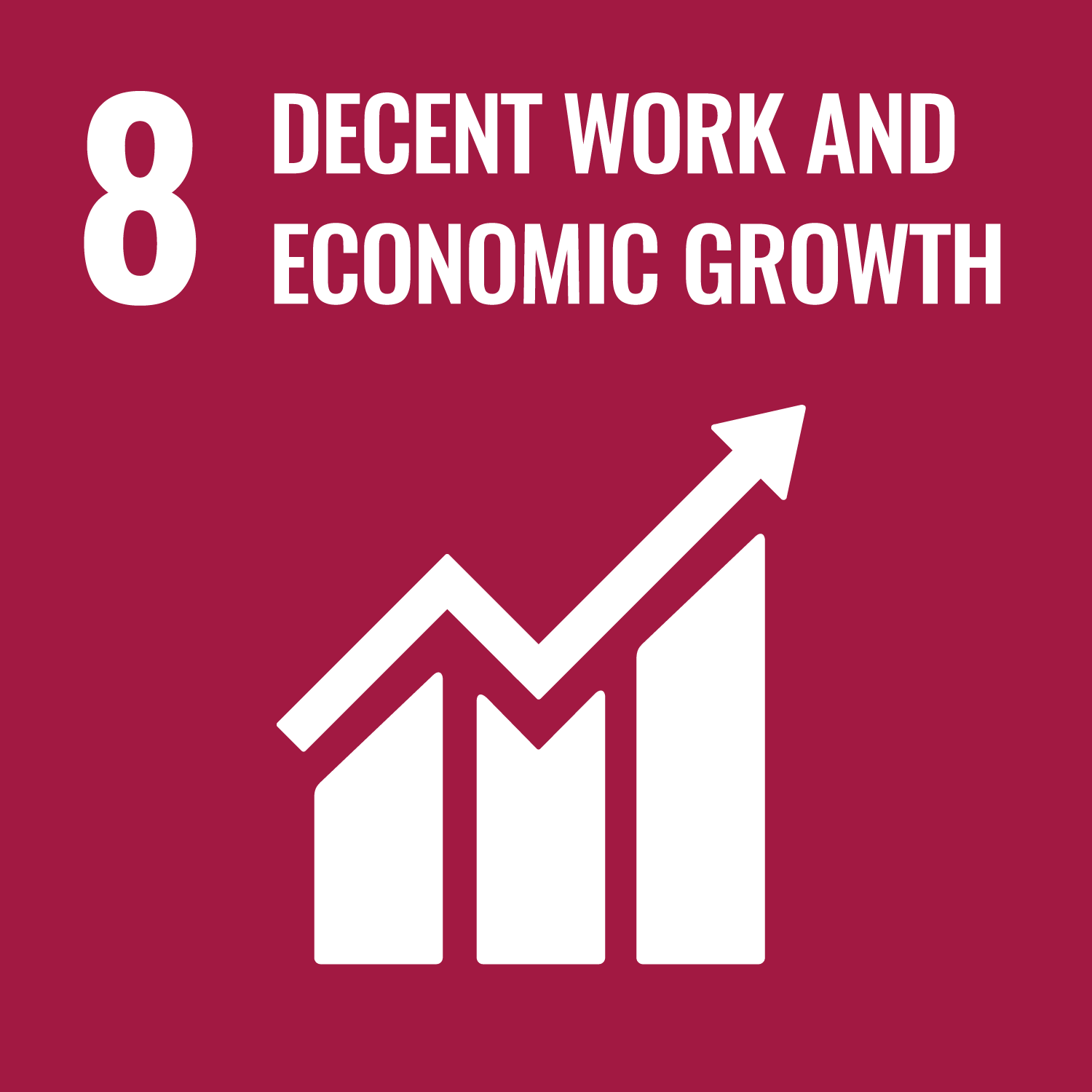 SDG8 aast