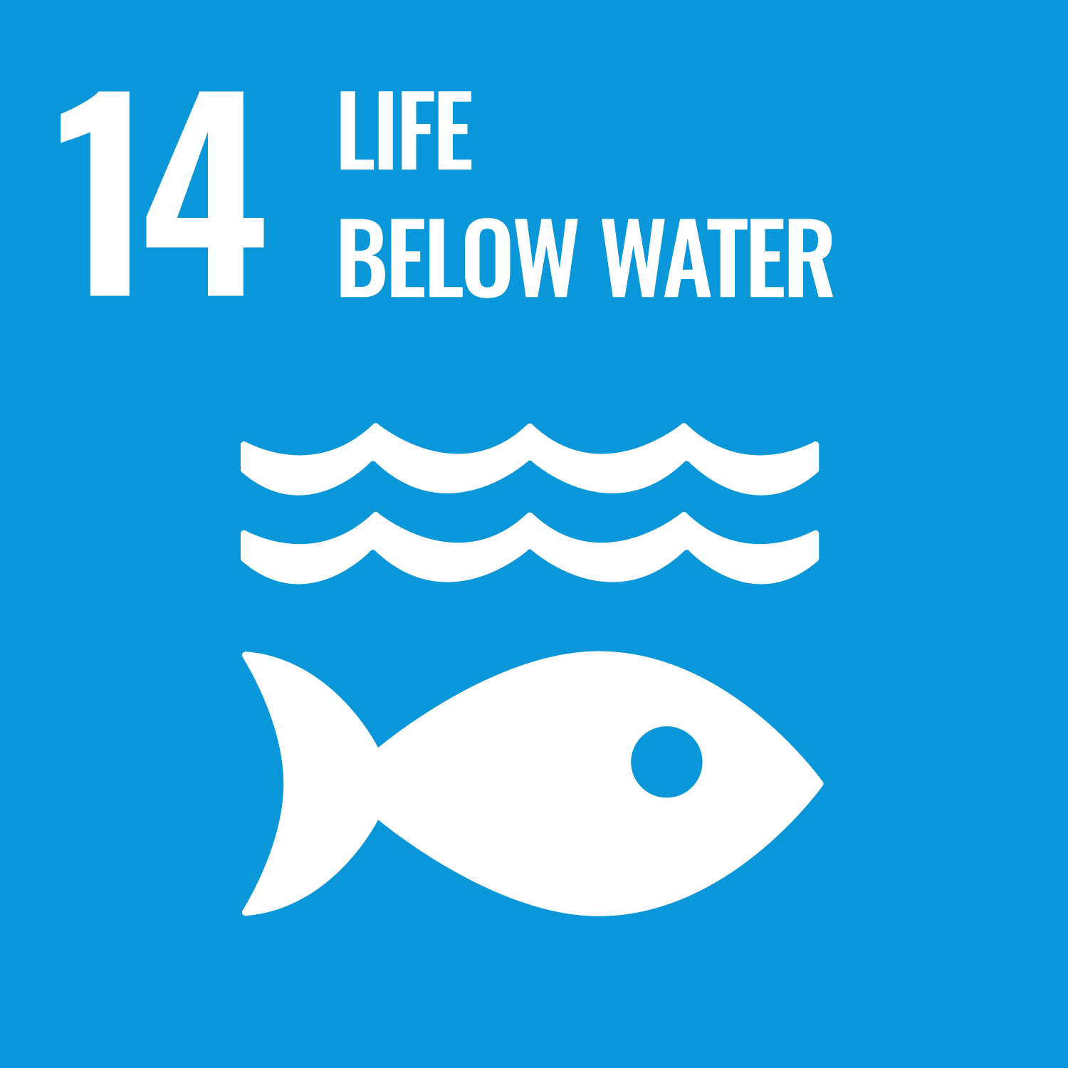 SDG14 aast